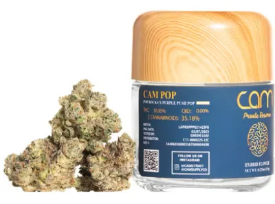 CAM CAM Pop